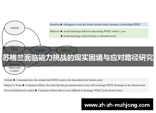 苏格兰面临能力挑战的现实困境与应对路径研究